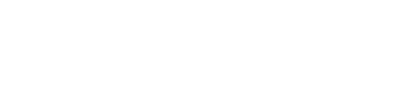 Multmag